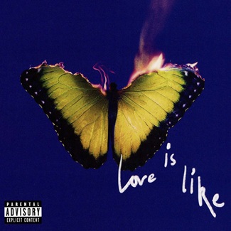 Love Is Like