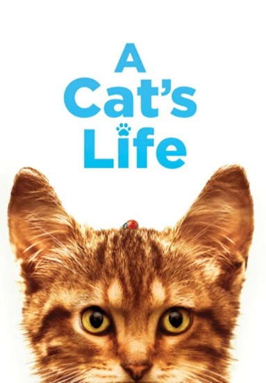 A Cat's Life
