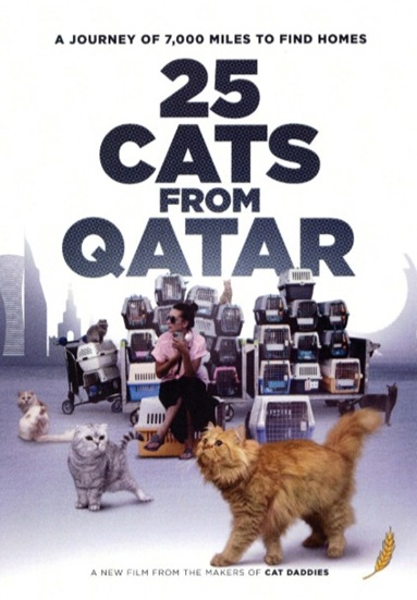 25 Cats from Qatar