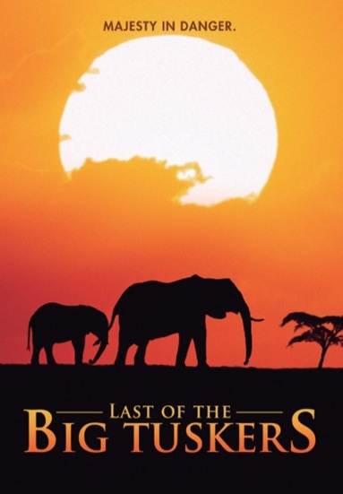 Last of the Big Tuskers