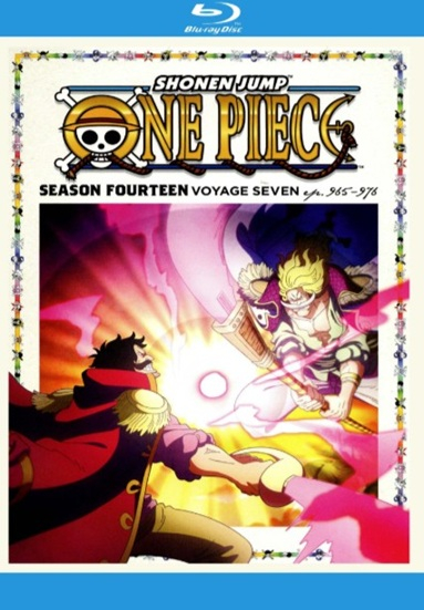 One Piece. Season Fourteen, Voyage Seven