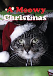 A Meowy Christmas