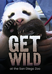 Get Wild
